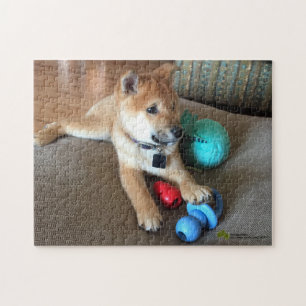 Shiba Inu Puppy With Colorful Toys Photograph Jigsaw Puzzle