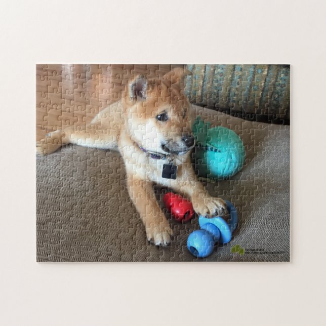 Shiba Inu Puppy With Colorful Toys Photograph Jigsaw Puzzle (Horizontal)