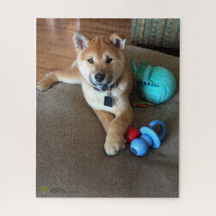 Shiba Inu Puppy With Colorful Toys Photograph Jigsaw Puzzle