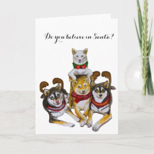 Shiba Inu Sisters Kikko Sasha Momo Hina Holiday Card