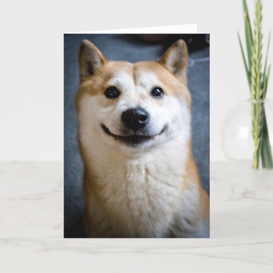 Shiba Inu Smile Greeting Card | Zazzle.com