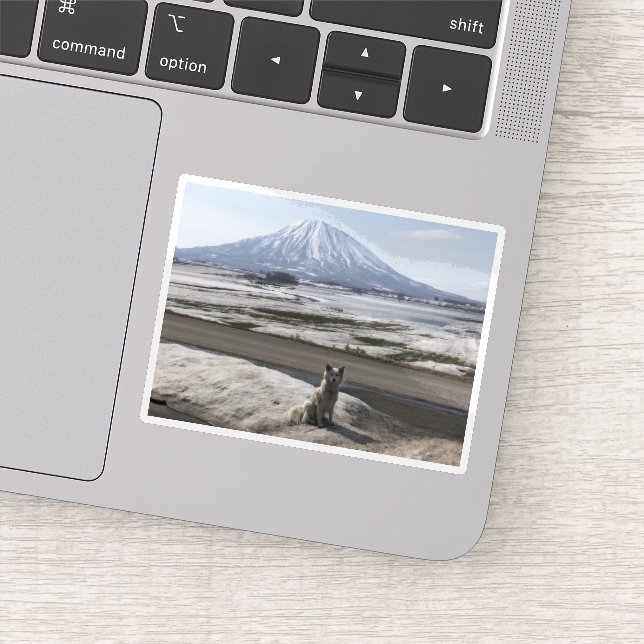 Shiba Inu Sticker (Detail)