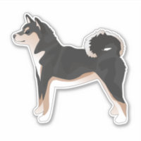 Tri shiba inu outlet