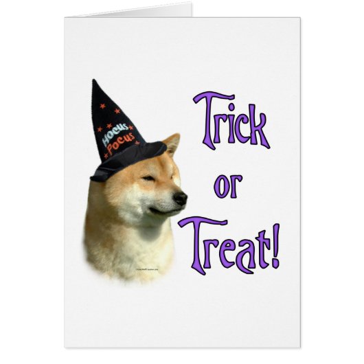 Shiba Inu Trick Cards (Front)