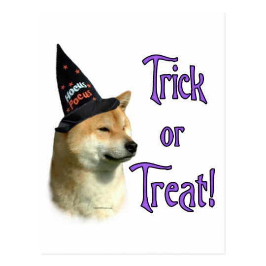 Shiba Inu Trick Postcard
