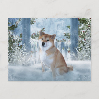 Shiba Inu Winter Postcard