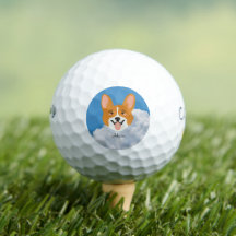 Shiba inu with Sky Golf Balls