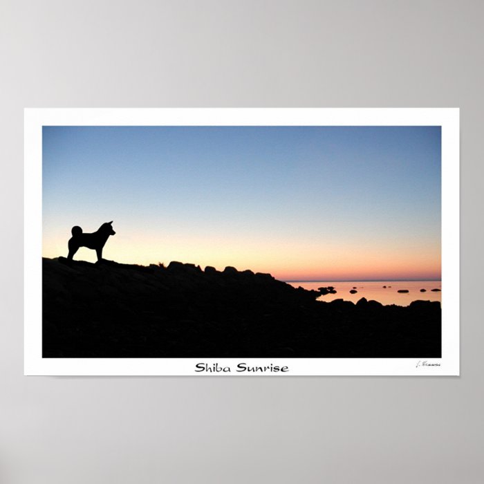 Shiba Sunrise Posters