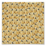shibe doge fun and funny meme adorable photo print shibe doge fun and funny meme adorable photo print