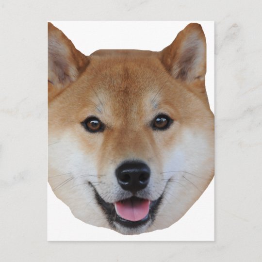 shibe.png postcard | Zazzle.com