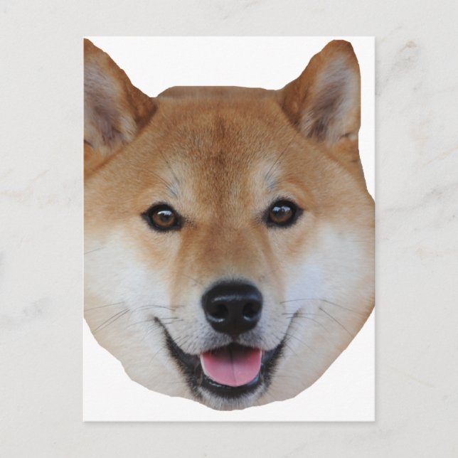 shibe.png postcard (Front)