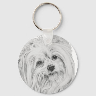 ShiChi Keychain