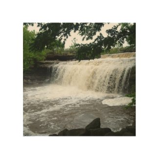 Shidler Falls