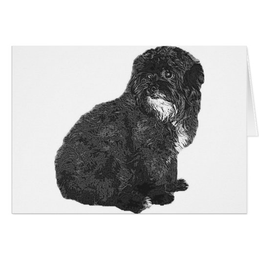 Shih Poo Cards (Front Horizontal)
