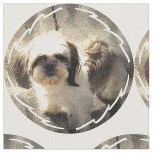 shih-tsu-2 fabric