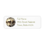 Shih Tsu Dog Return Address Label