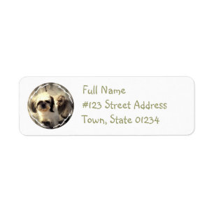 Shih Tsu Dog Return Address Label