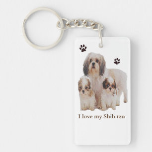 Shih-tsu Keychain