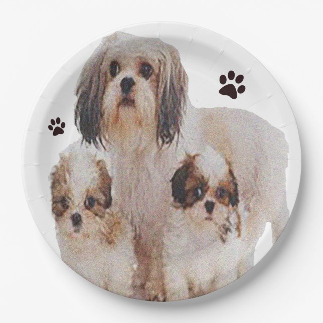 Shih-tsu Paper Plates (Front)