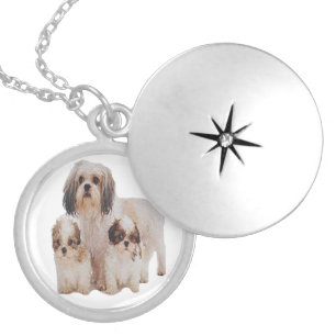 Shih tsu puppies silver plated necklace