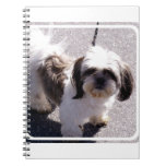 Shih Tsu Puppy Notebook
