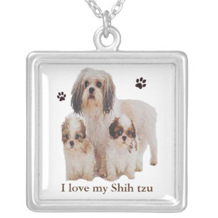 Shih-tsu Silver Plated Necklace