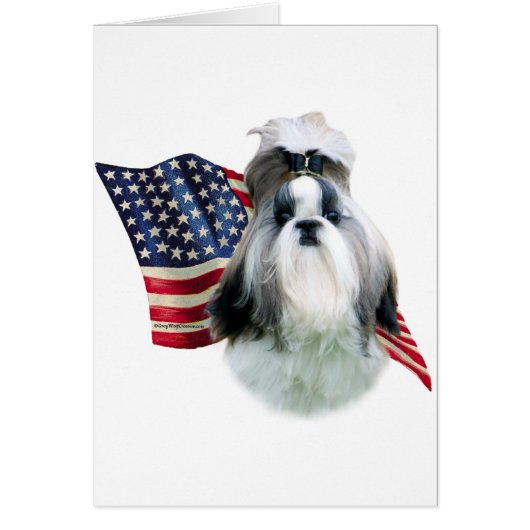 Shih Tzu 2 Flag Cards (Front)