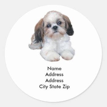 Shih Tzu Address Label by normagolden at Zazzle