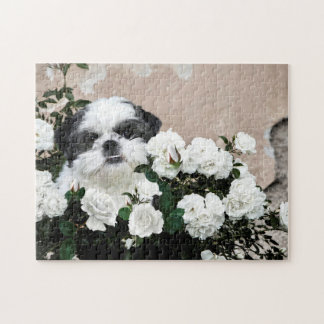 Shih Tzu and roses Jigsaw Puzzle