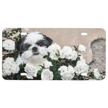 Shih Tzu And Roses License Plate by deemac1 at Zazzle