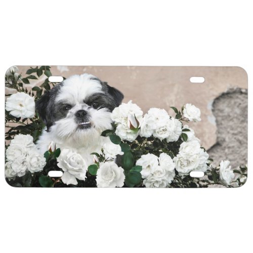 Shih Tzu and roses License Plate
