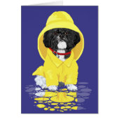 Shih Tzu April Showers (Front)