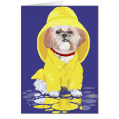 Shih Tzu April Showers (Front)