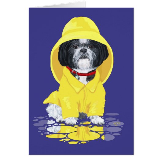 Shih Tzu April Showers Cards (Front)