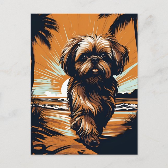 Shih-tzu at the beach postcard (Front)