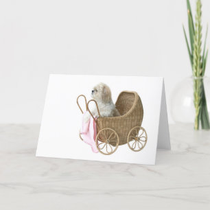 Shih Tzu baby buggy Card