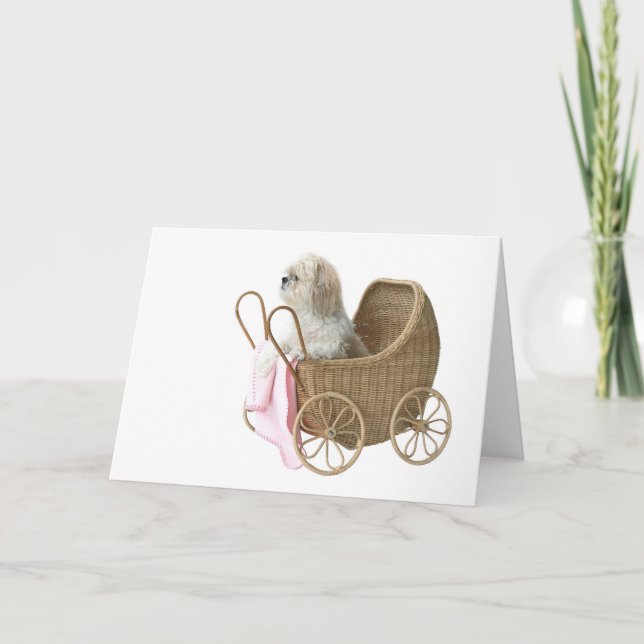 Shih Tzu baby buggy Card (Front)