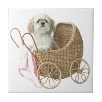 Shih Tzu Baby Carriage Ceramic Tile by deemac1 at Zazzle