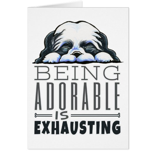Shih Tzu Being Adorable Cards (Front)