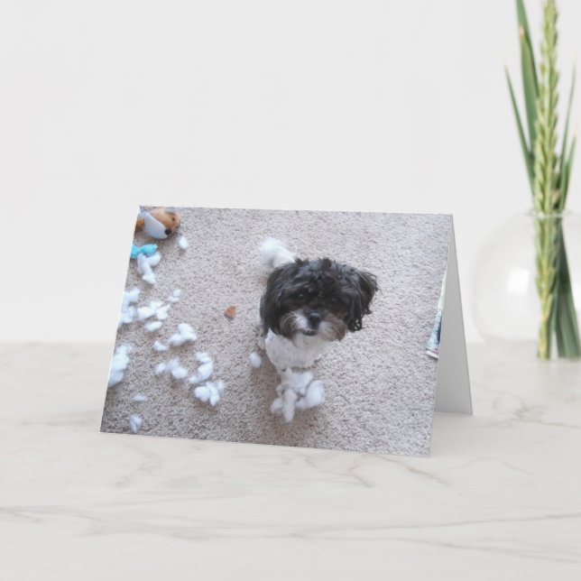 Shih Tzu Belated Birthday Card (Front)