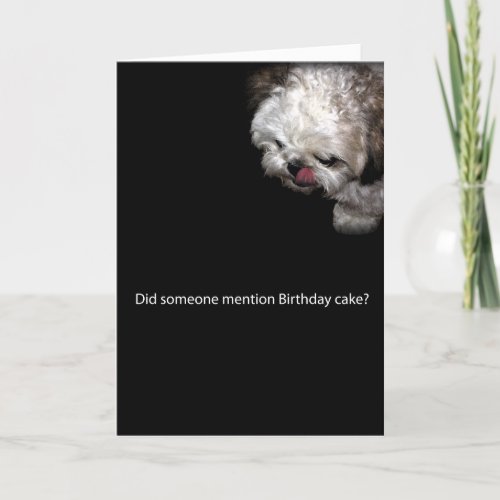 Shih_Tzu Birthday Card