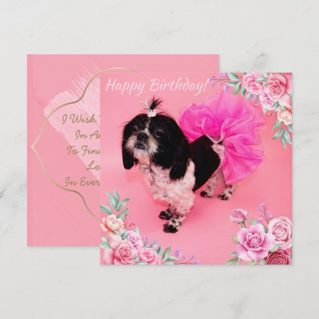 Shih Tzu Birthday Holiday Card (Front/Back)