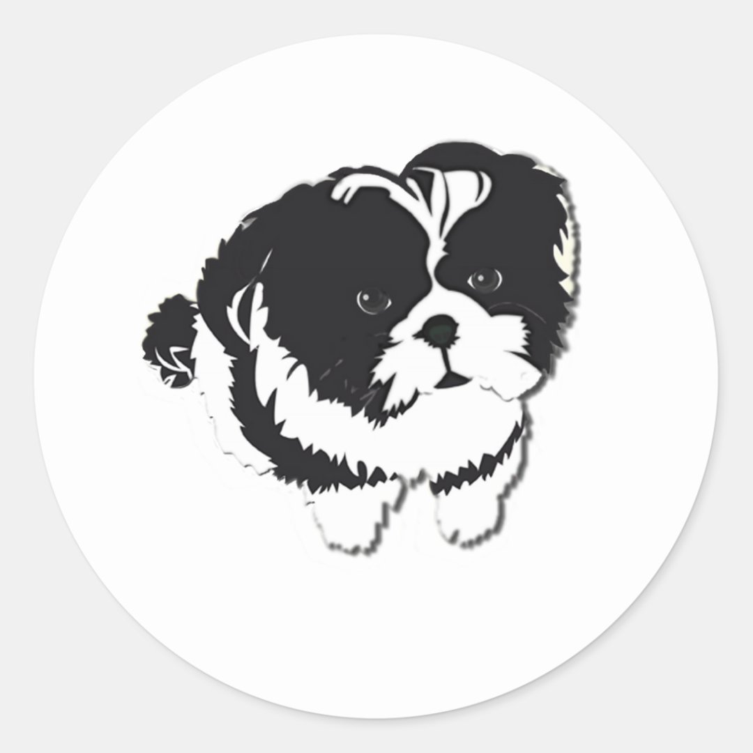 Shih Tzu Black White Dog Pet Classic Round Sticker | Zazzle