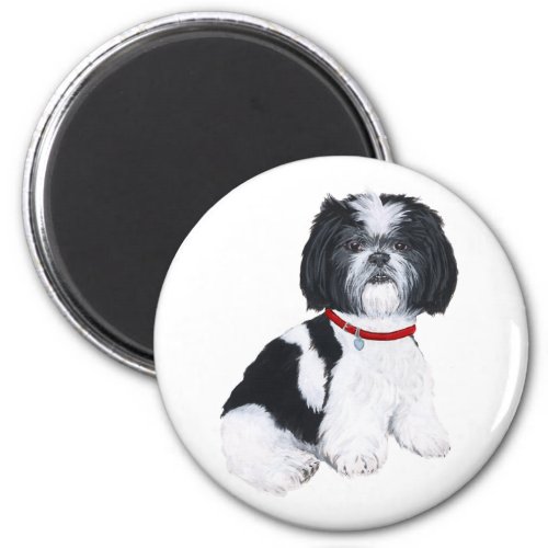 Shih Tzu Black  White Magnet