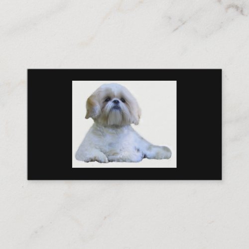 Shih Tzu Breeder Business Card