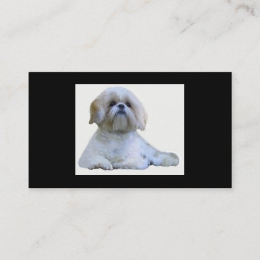 Customizable Shih Tzu Breeder Business Card