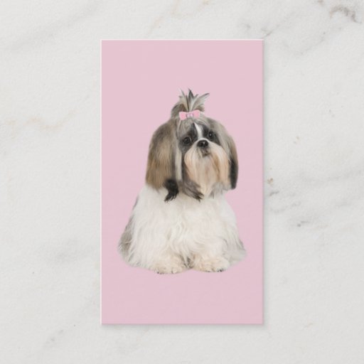 Customizable Shih Tzu Breeder Business Card