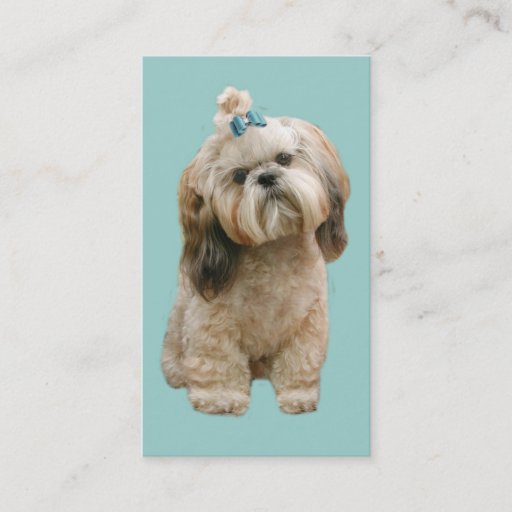 Customizable Shih Tzu Breeder Business Card