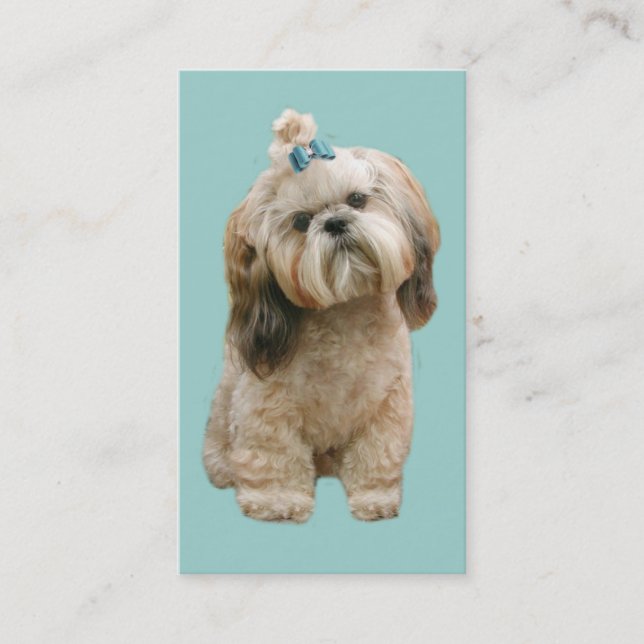 Shih Tzu Breeder Business Card (Front)