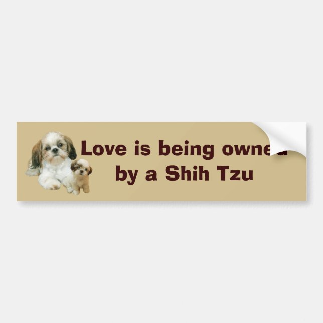 Shih Tzu Buddies Bumper Sticker (Front)